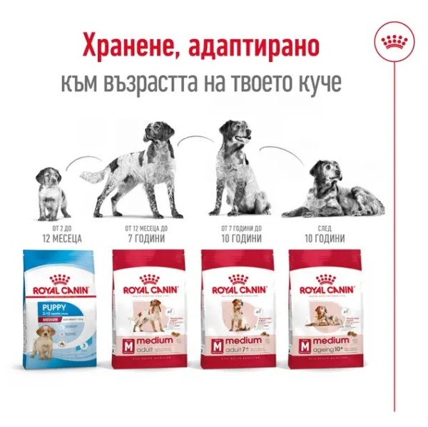 Royal Canin Dog Adult Medium 7+ - Пълноценна суха храна за кучета от средни породи над 7 години